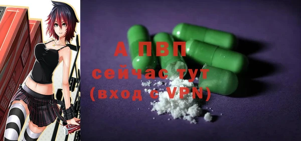 крисы Богородицк