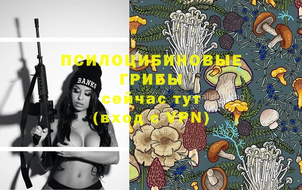 мет Богданович