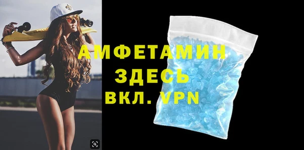 крисы Богородицк
