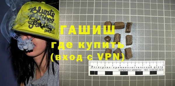 крисы Богородицк