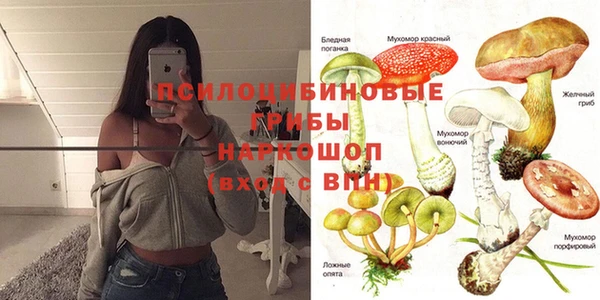 мет Богданович