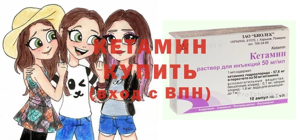 крисы Богородицк