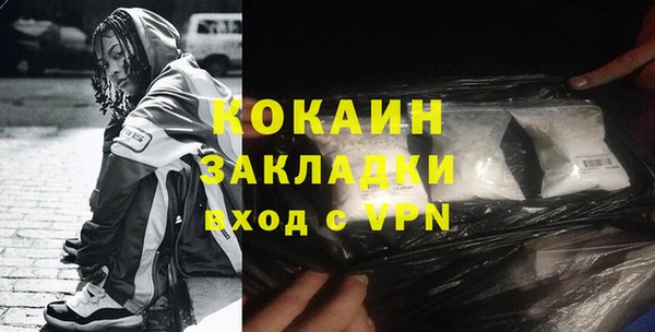 крисы Богородицк