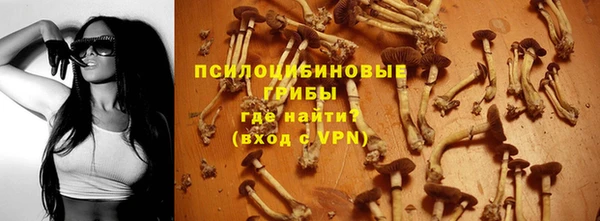 крисы Богородицк