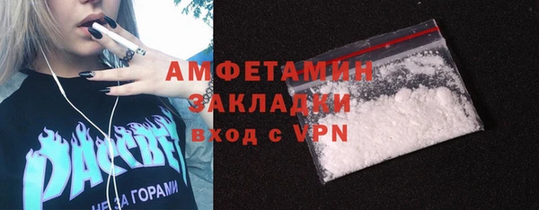 крисы Богородицк