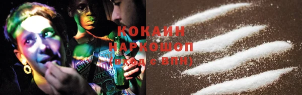 крисы Богородицк